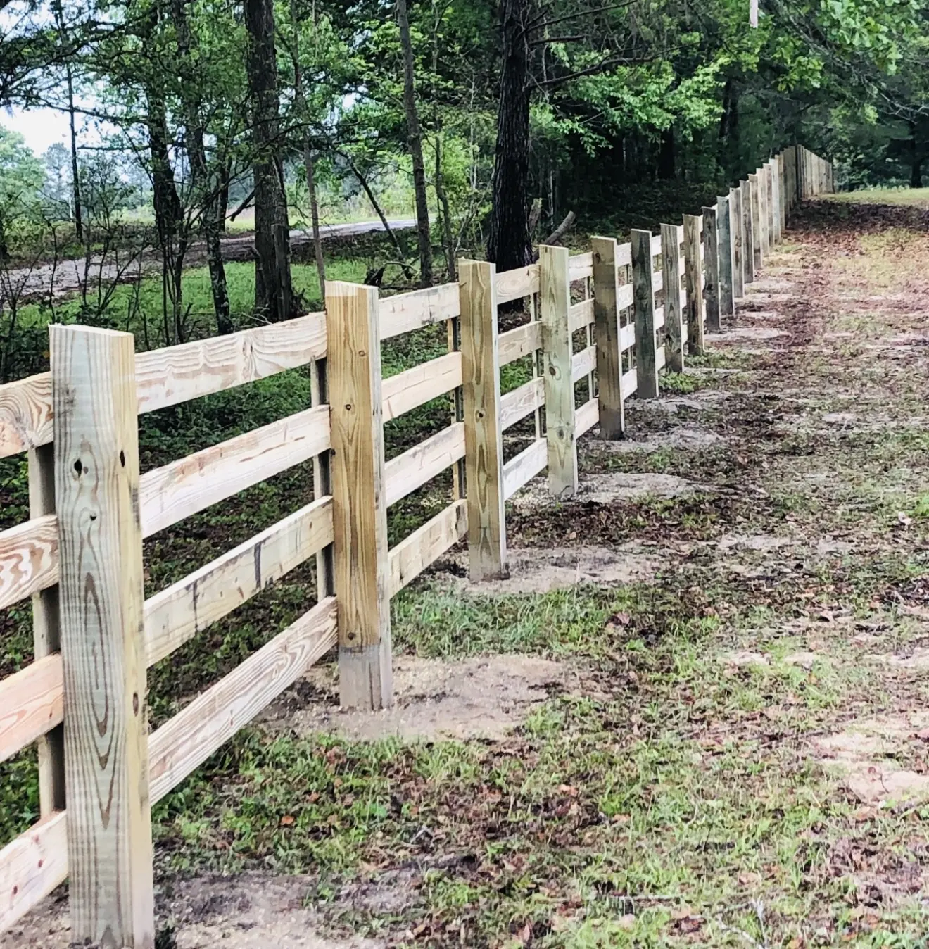 Close view of four-board pressure-treated wood horse fence