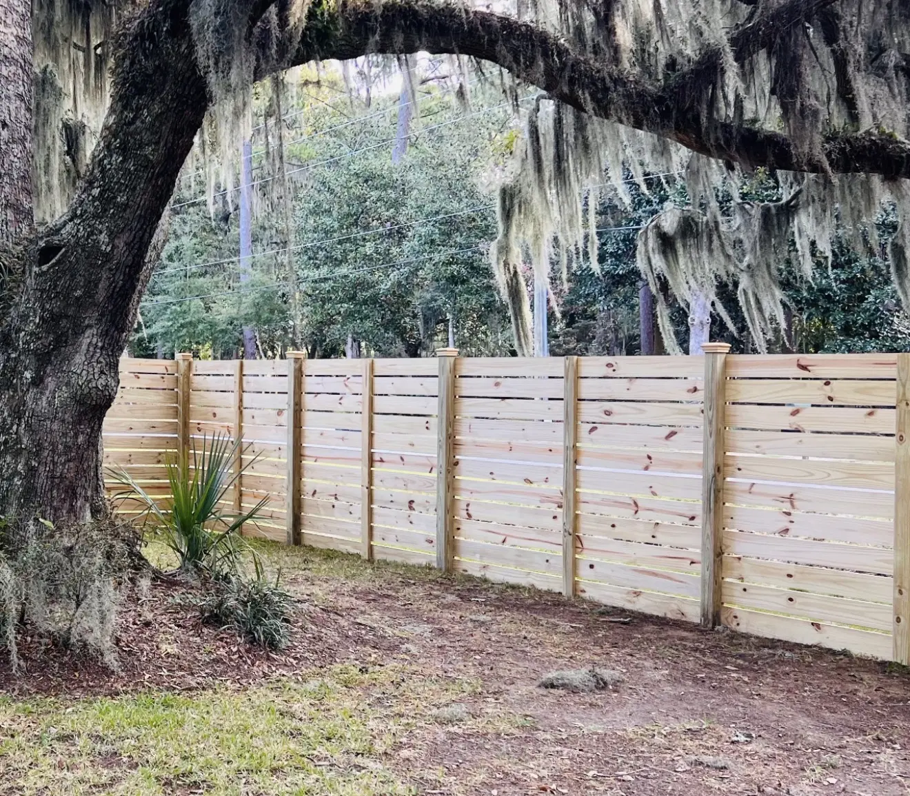 Natural wood horizontal privacy fence built by Owens beneath live oak trees